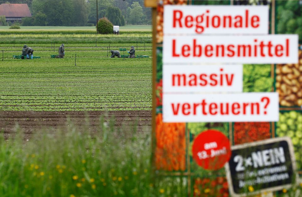 A poster in front of a field before a vote on agrarian initiatives to limit the use of pesticides, near Ellikon an der Thur, Switzerland May 27, 2021. A poster in front of a field before a vote on agrarian initiatives to limit the use of pesticides, near Ellikon an der Thur, Switzerland May 27, 2021.