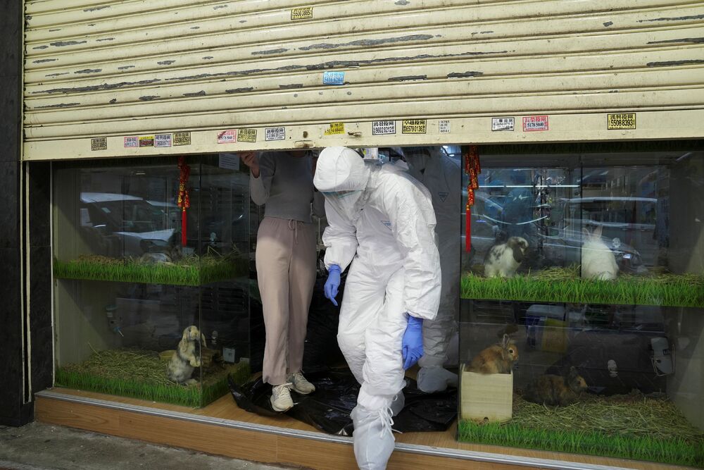 Officers in protective suits leave a closed pet shop in Mong Kok district after a hamster cull was ordered to curb the coronavirus disease outbreak on Jan 19 (Reuters) Officers in protective suits leave a closed pet shop in Mong Kok district after a hamster cull was ordered to curb the coronavirus disease outbreak on Jan 19 (Reuters)