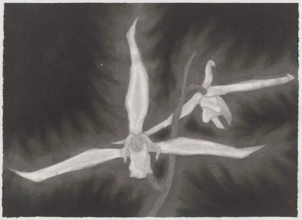 Huang Dan, Dynamic Spirit, 2025, Ink and Colour on Paper, 71 x 98 cm