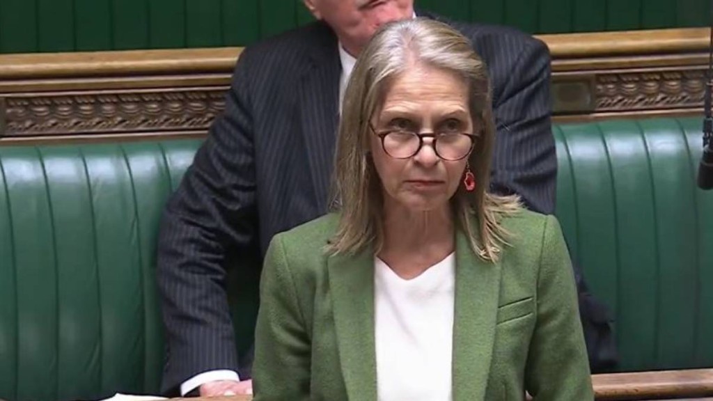 Wera Hobhouse (File Photo)