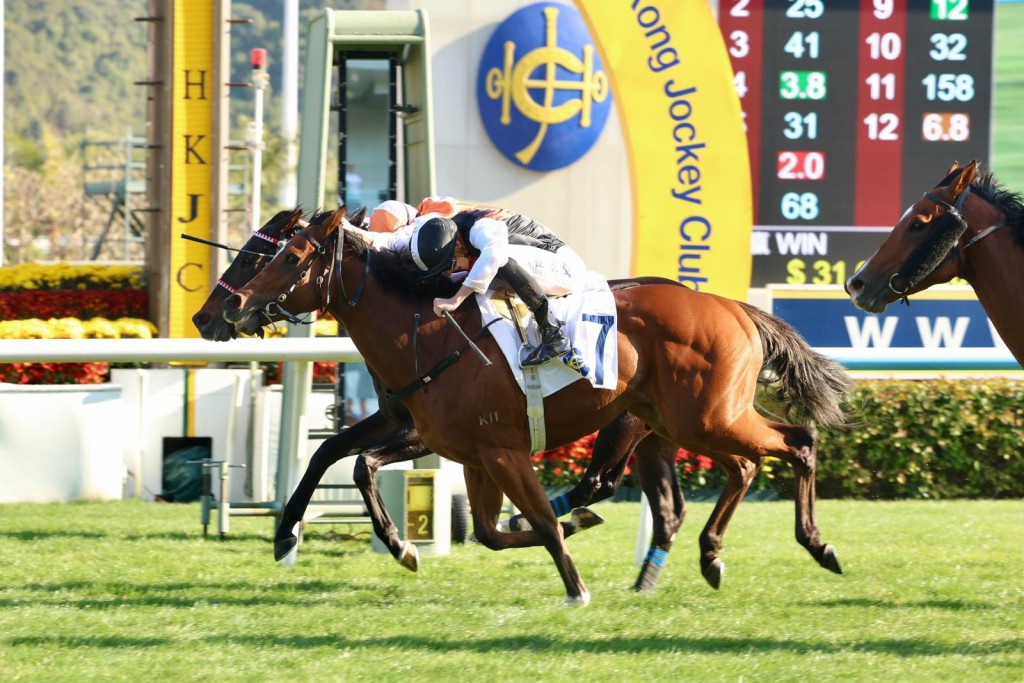 Luke Ferraris drives Young Emperor to a dramatic win on The Racing Club Cup Race Day. Sing Tao