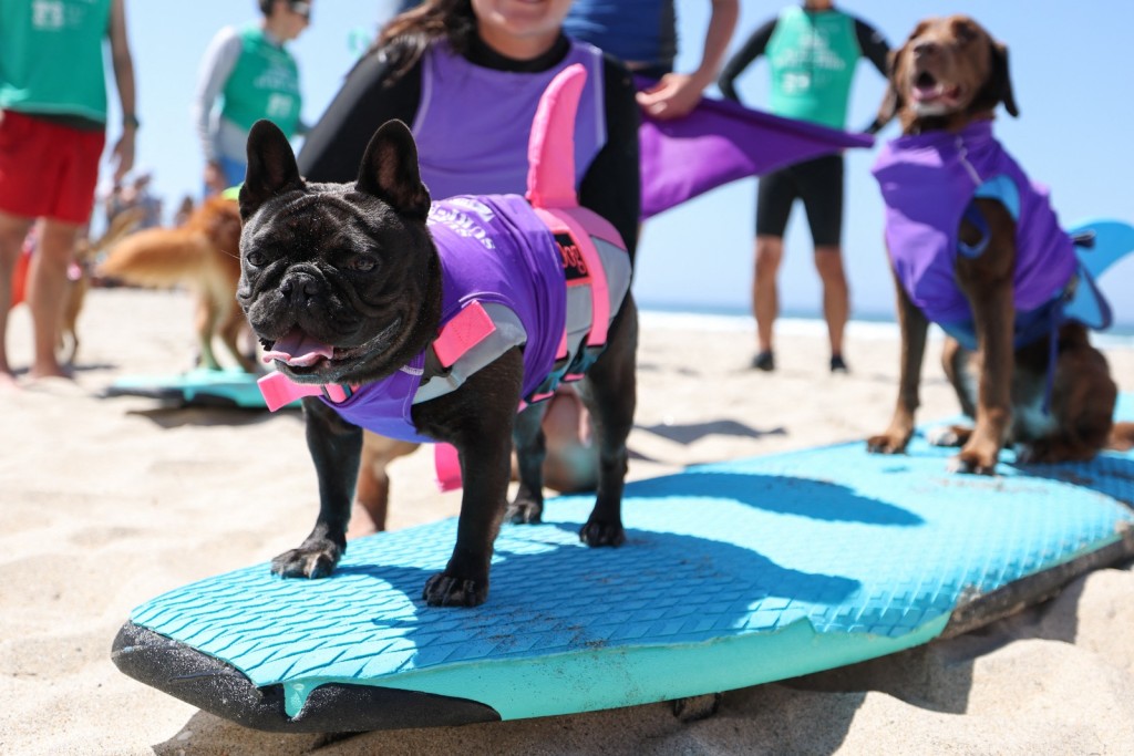 (Photo by Patrict T. FALLON / AFP)