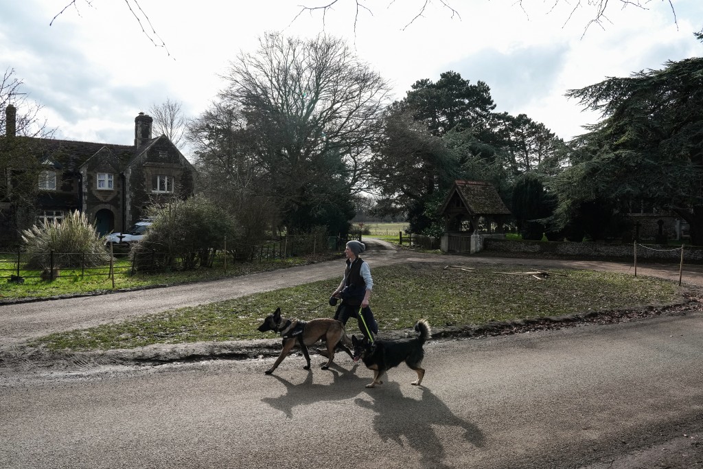 Photo by CARLOS JASSO / AFP  A woman walks dogs past an entrance (behind) to Wood Farm on the royal family's Sandringham Estate in Norfolk, eastern England on February 24, 2026, after Britain's former prince Andrew was arrested on February 19.