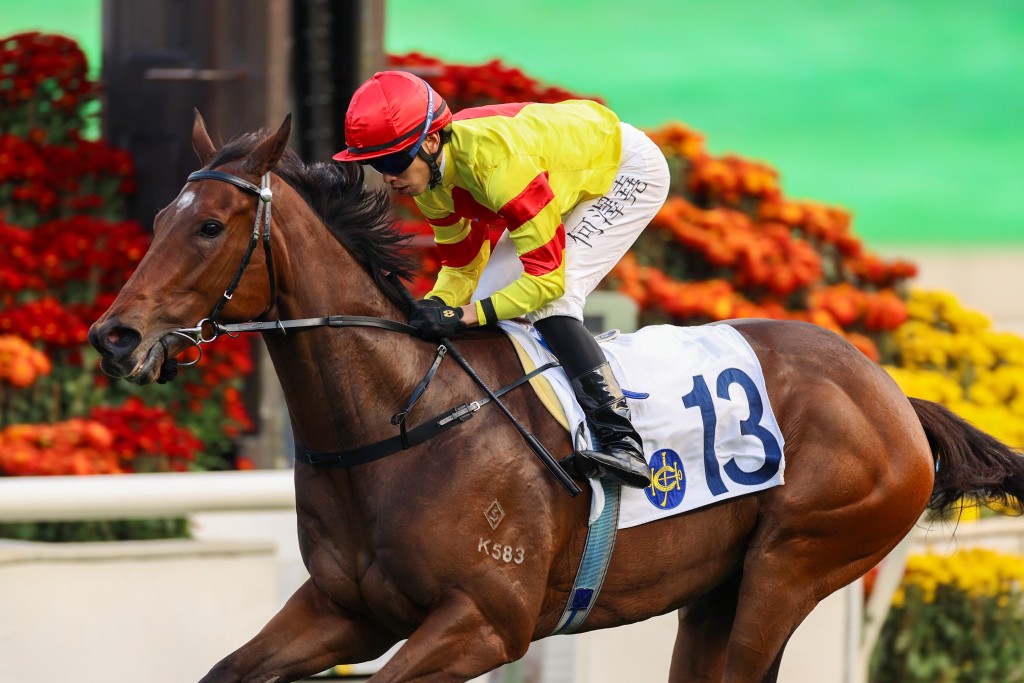 Hot Delight aims to bounce to winning ways at Sha Tin on Sunday.  HKJC.