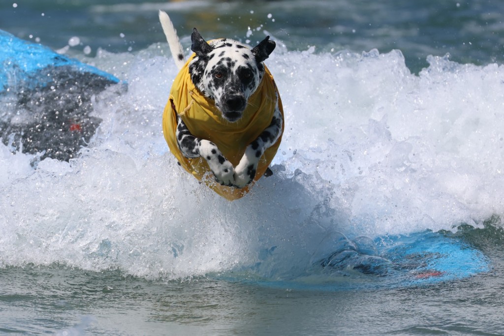 (Photo by Patrict T. FALLON / AFP)