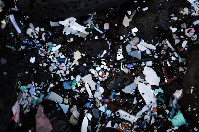 Microplastic samples found on the shores of the Pacific Ocean are pictured at Rapa Nui national park area at Easter Island, Chile October 1, 2024. REUTERS/Ivan Alvarado 