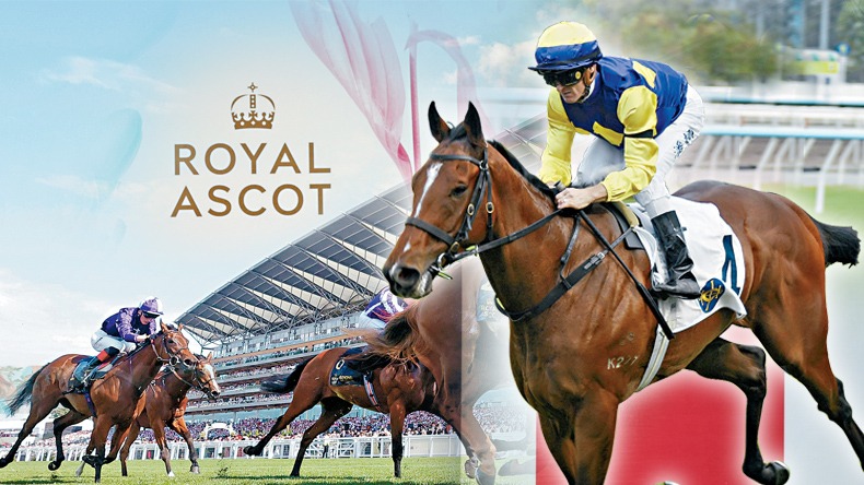 Colourful King could head to Royal Ascot in 2027. Sing Tao 