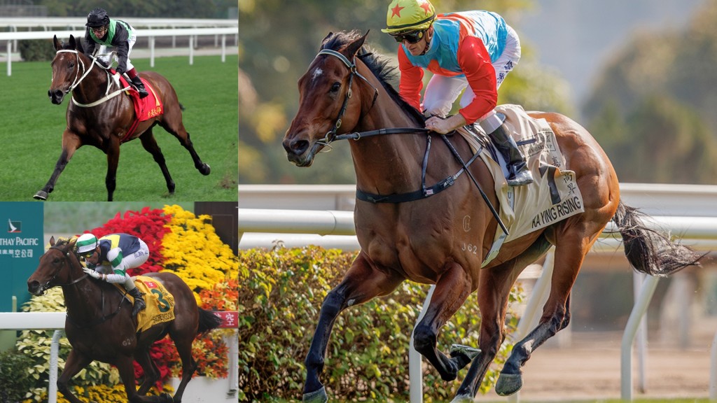 From right, clockwise: Ka Ying Rising, Sacred Kingdom and Silent Witness. HKJC