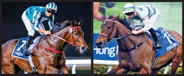 Romantic Warrior and Voyage Bubble have won more than HK$300m between them SINGTAO 