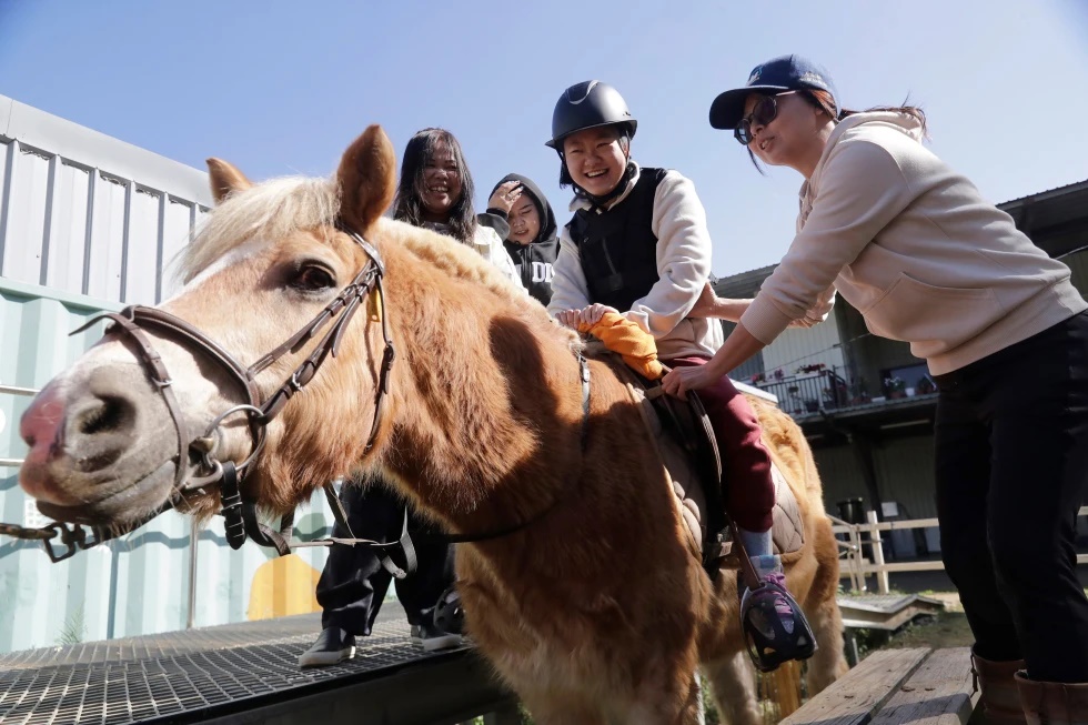 Chen You-ching mounts a horse with help of a physical therapist during an equine-assisted therapy course at the Therapeutic Riding Centre in Taoyuan in northern Taiwan on Thursday, Jan. 29, 2026. (AP Photo/Chiang Ying-ying)