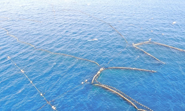 A minke whale was trapped in nets in the town of Taiji, Japan, since Christmas Eve. A minke whale was trapped in nets in the town of Taiji, Japan, since Christmas Eve.