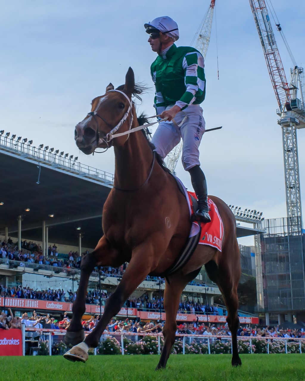 James McDonald stands high in the stirrups as Via Sistina wins the 2024 Cox Plate at Moonee Valley (Idol Horse/Grand Courtney) 