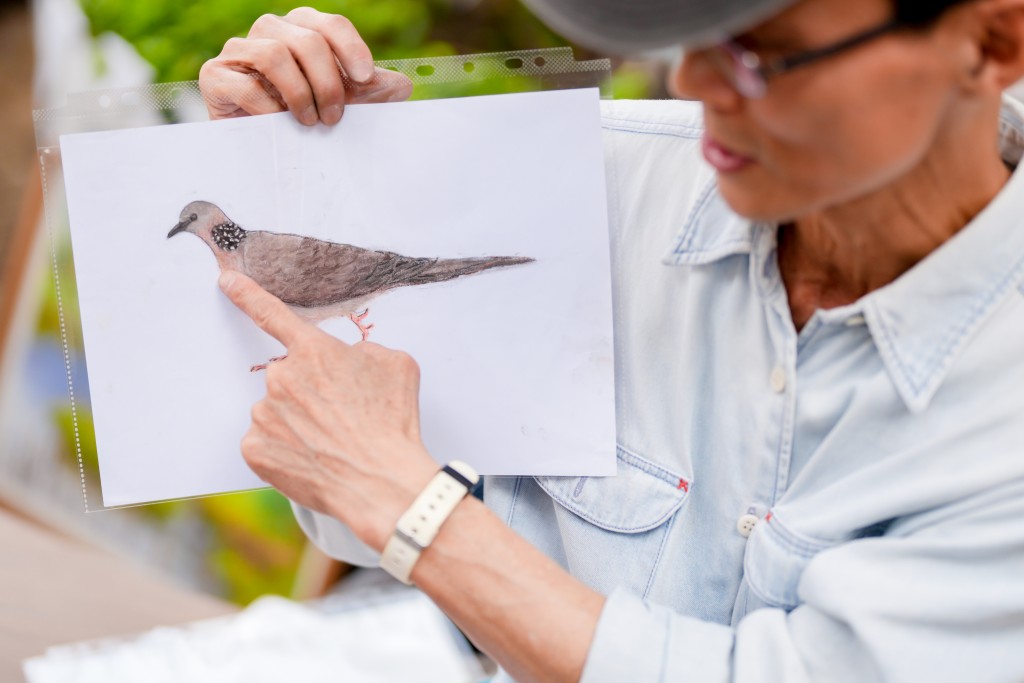 Urban Birdwatching x City Sketching Workshop