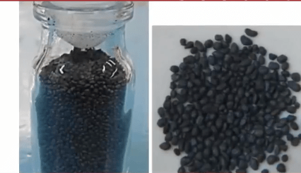 Police found the banned pesticide terbufos at Ana's residence; this highly toxic substance, commonly used as rat poison, is believed to be the tool used in the crimes. X@Metropoles