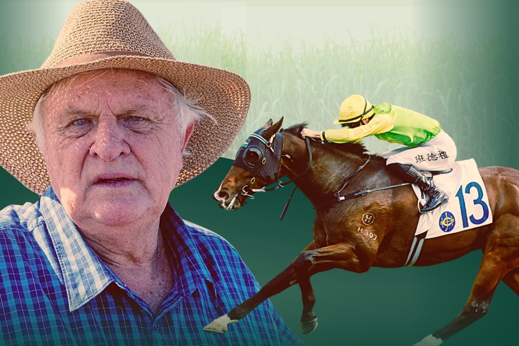 Ricky Ludwig, Tomodachi Kokoroe IDOL HORSE