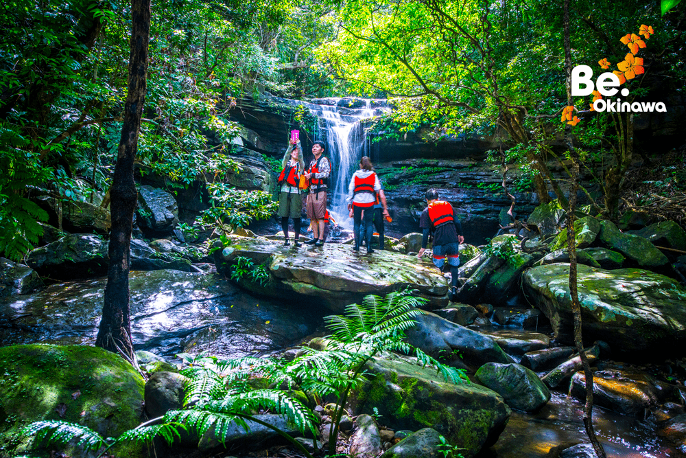 Trekking on Iriomote Island
