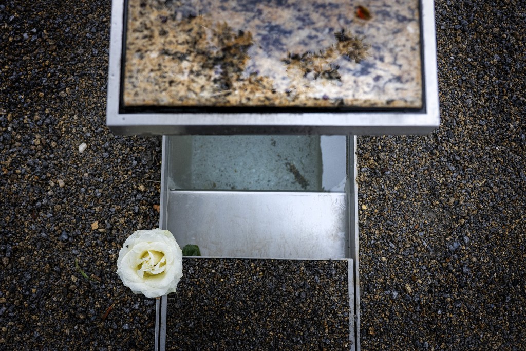On the eve of the 24th anniversary of the September 11 attacks, a flower stands next to a memorial bench at the Pentagon 9/11 Memorial in Washington, DC, on September 10, 2025. The solemn moment comes as the nation prepares to honor the 184 lives lost at the Pentagon, among the 2,977 victims killed in the coordinated attacks on the World Trade Center, the Pentagon, and aboard Flight 93 in Somerset County, Pennsylvania. (Photo by Jim WATSON / AFP)