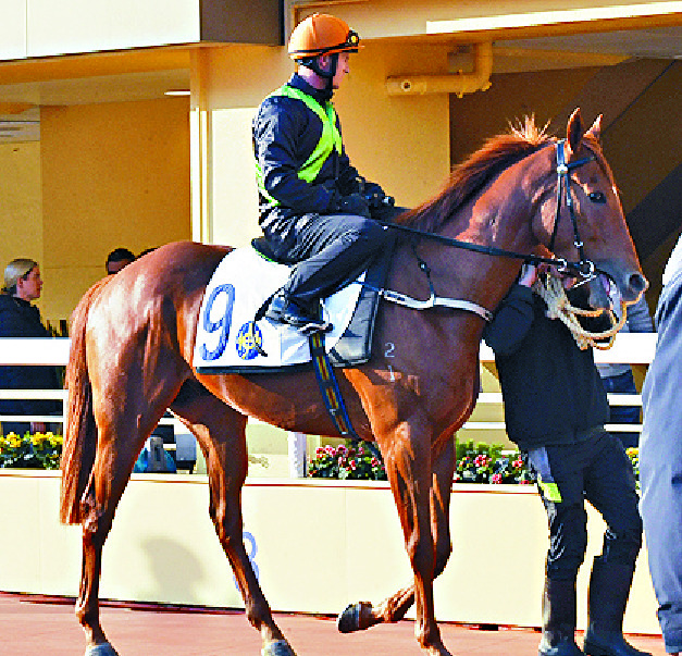 Honest Witness Honest Witness