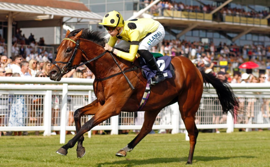 Bow Echo has been retired. Credit: @gbougheyracing
