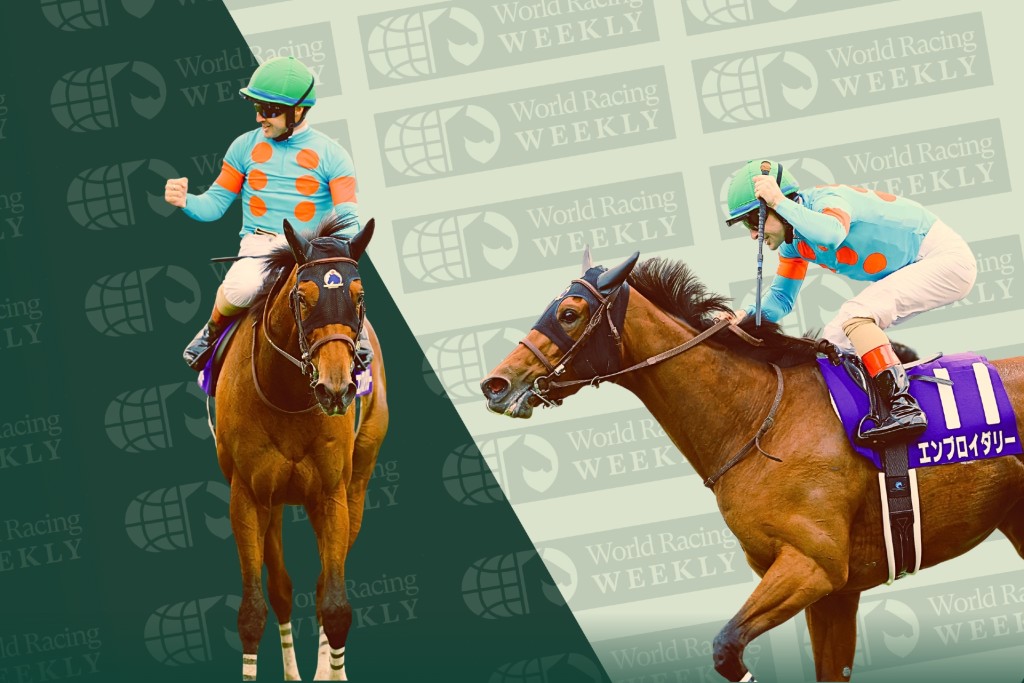 Christophe Lemaire, Embroidery. Idol Horse/Shuhei Okada