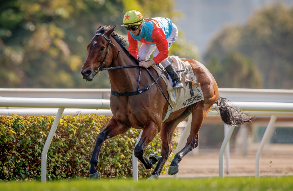 Ka Ying Rising, at a rating of 126, stands at joint-fourth place in the LONGINES World's Best Racehorse Rankings. (HKJC)