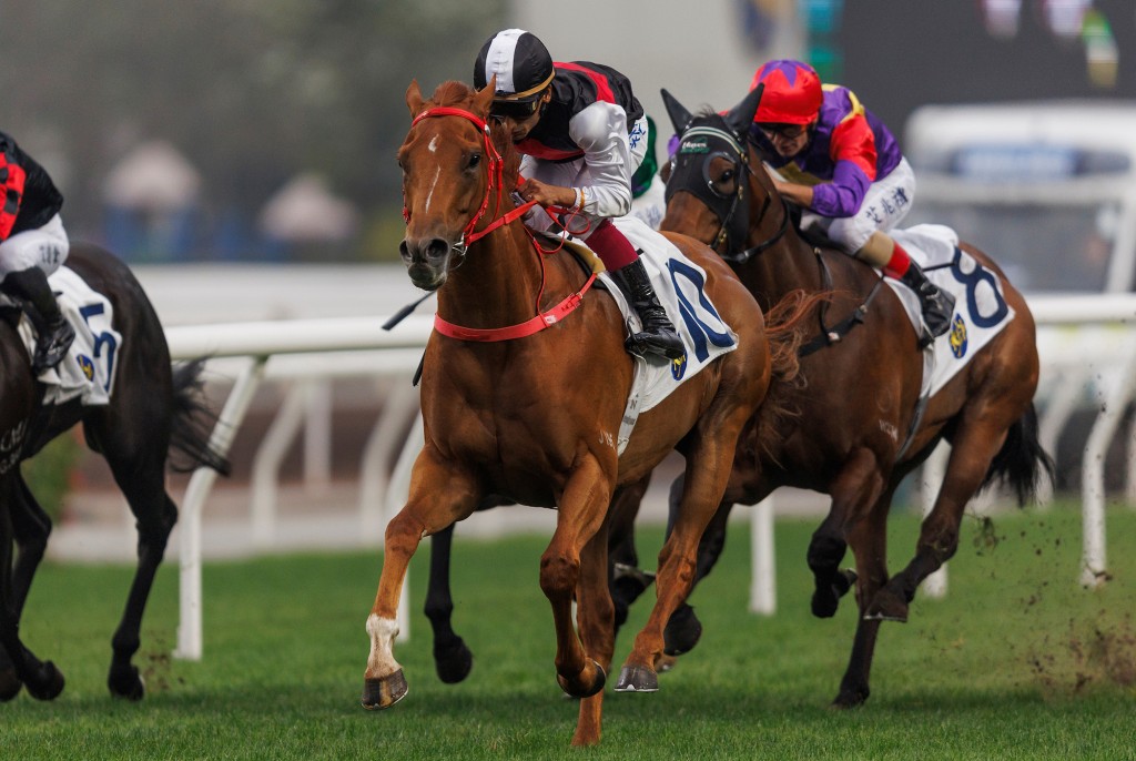 Young Champion's three career wins are all over Tuesday's 1,400 meters course at Sha Tin (HKJC) 