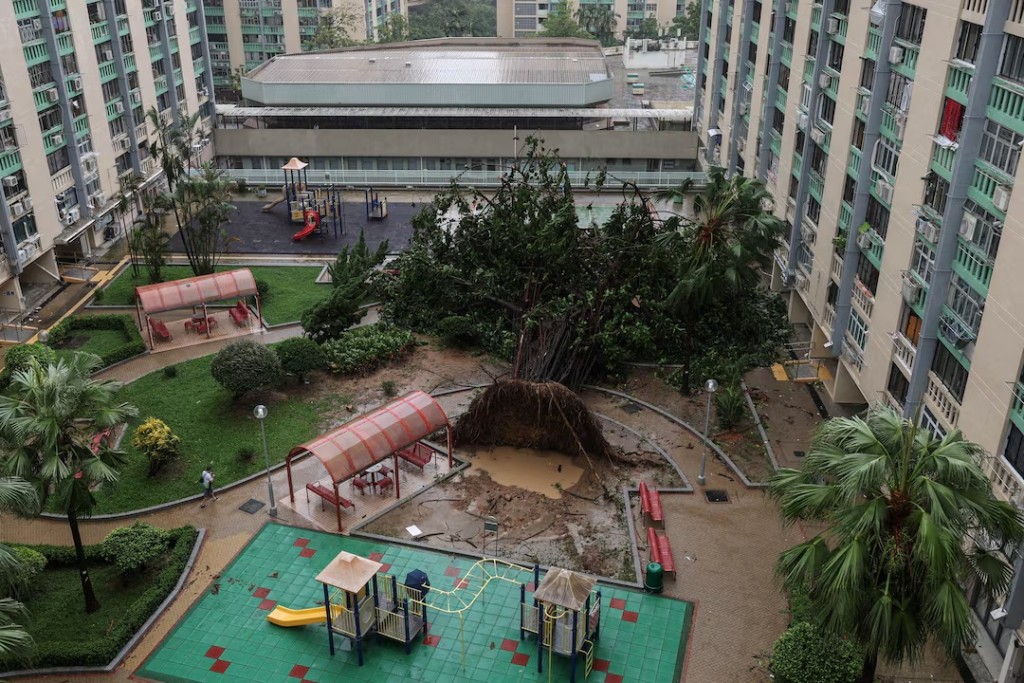 A tree lies toppled by Super Typhoon Ragasa’s fierce winds in Hong Kong, China, September 24, 2025. REUTERS/Tyrone Siu