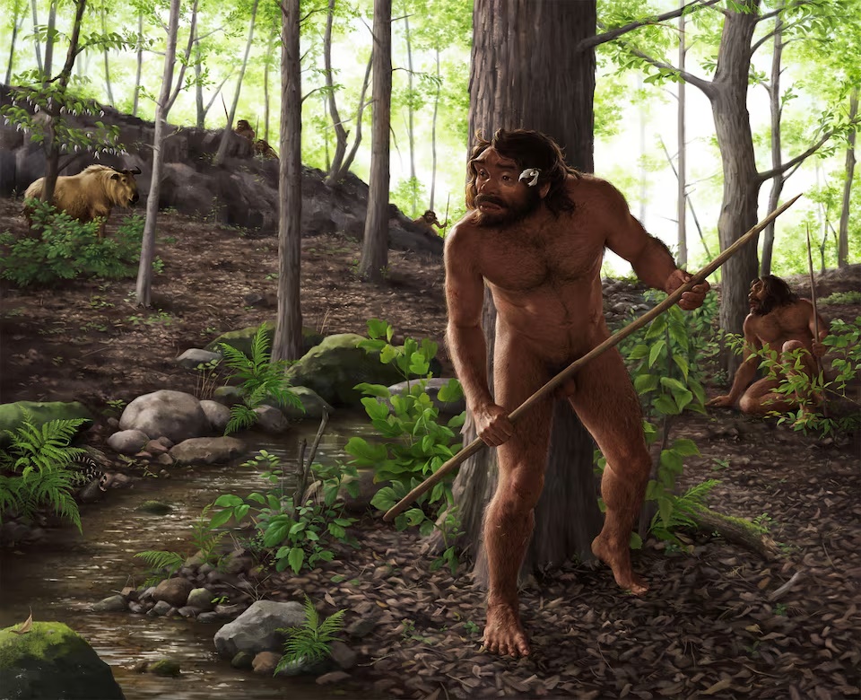  This artist's impression shows a group of archaic humans hunting in a forest roughly 1 million years ago in China's Hubei Province. The head of the adult male individual holding a wooden spear in the foreground is based on the digital reconstruction of a fossilized archaic skull, called Yunxian 2, unearthed in 1990, in this image released on September 25, 2025. Jiannan Bai and Xijun Ni/Handout via REUTERS 