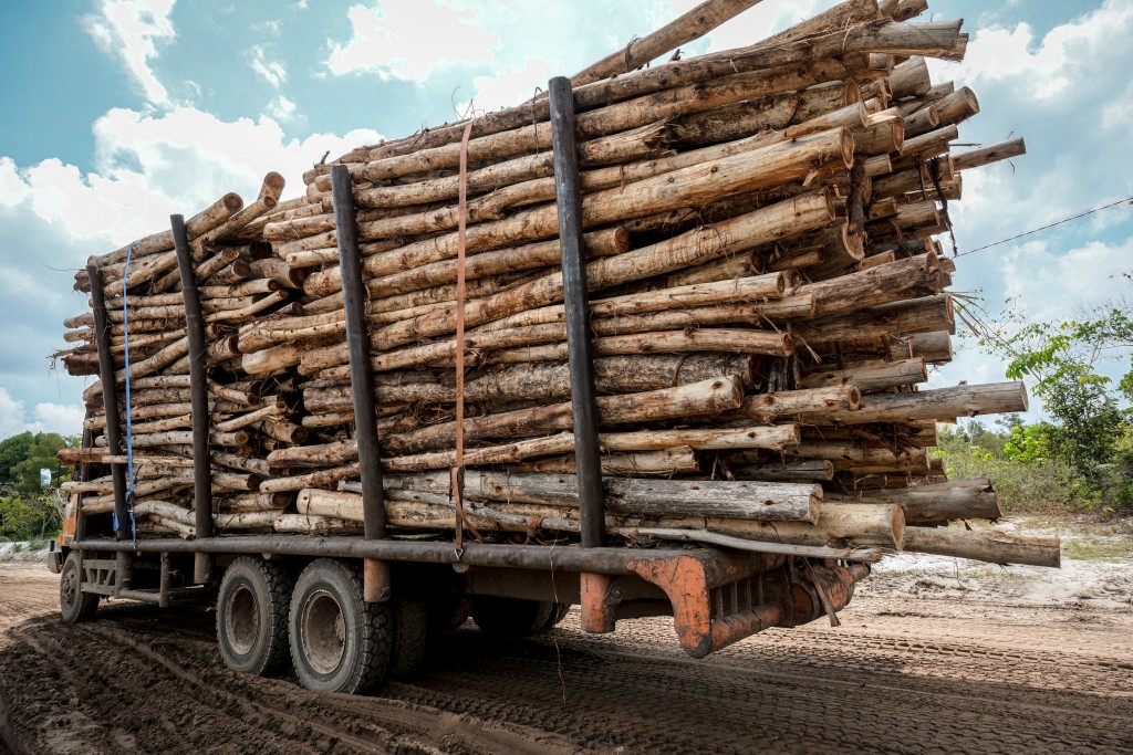 Photo by BAY ISMOYO / AFP  This picture taken on February 11, 2026 shows a truck loaded with logs at a site cleared for industrial planting in Lahei Mangkutup, Kapuas Regency in Indonesia's Central Kalimantan Province.
