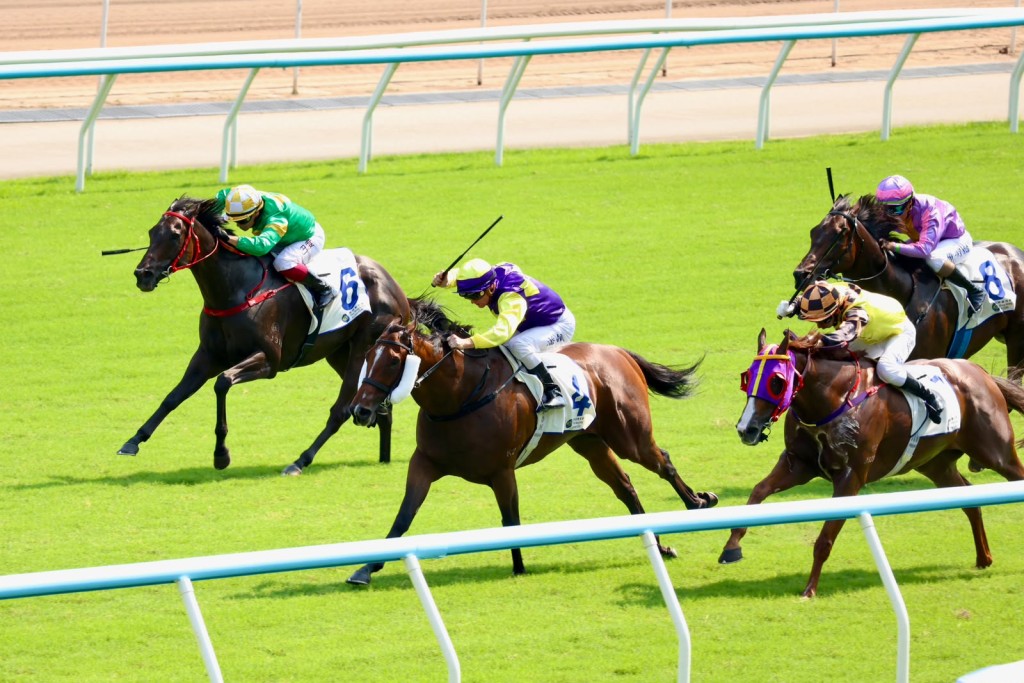 Colourful King wins the G3 National Day Cup under jockey Zac Purton for trainer David Eustace. Sing Tao