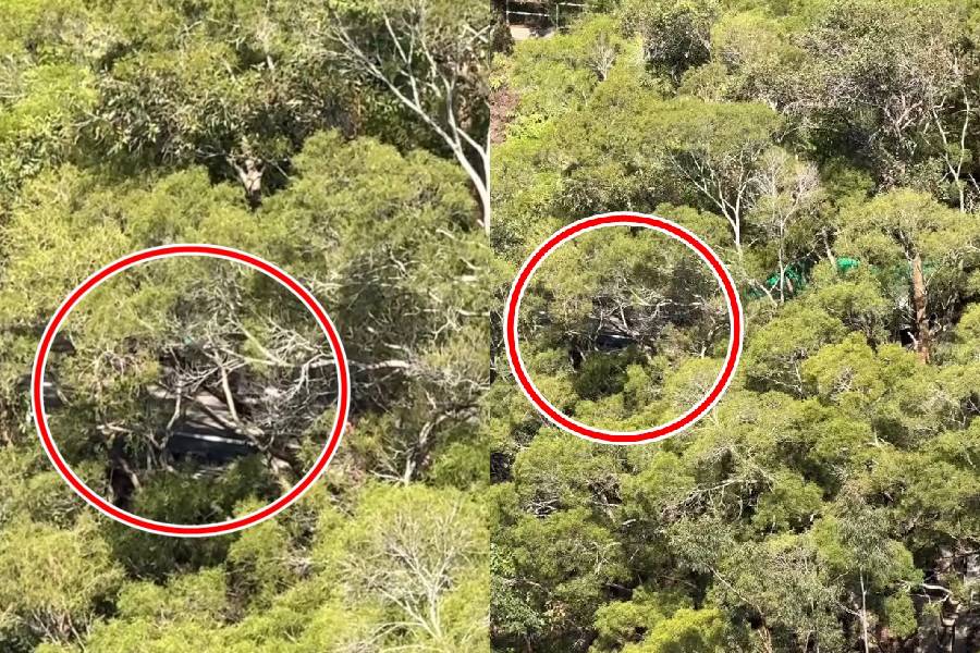 (Photo from Facebook)