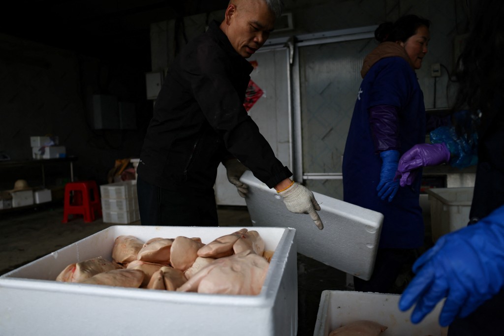 Employees move boxes of fresh goose liver before delivery at a goose farm owned by foie gras producer Changhao Biotechnology Co in Huoqiu county, Anhui province, China (Reuters)