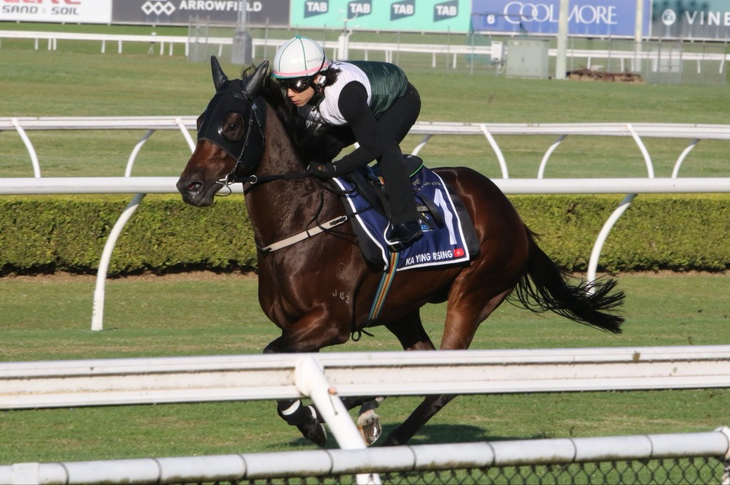 Ka Ying Rising, track work, Sydney, Australia. HKJC