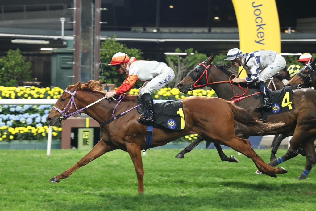 Perfectday wins after a long layoff. Singtao