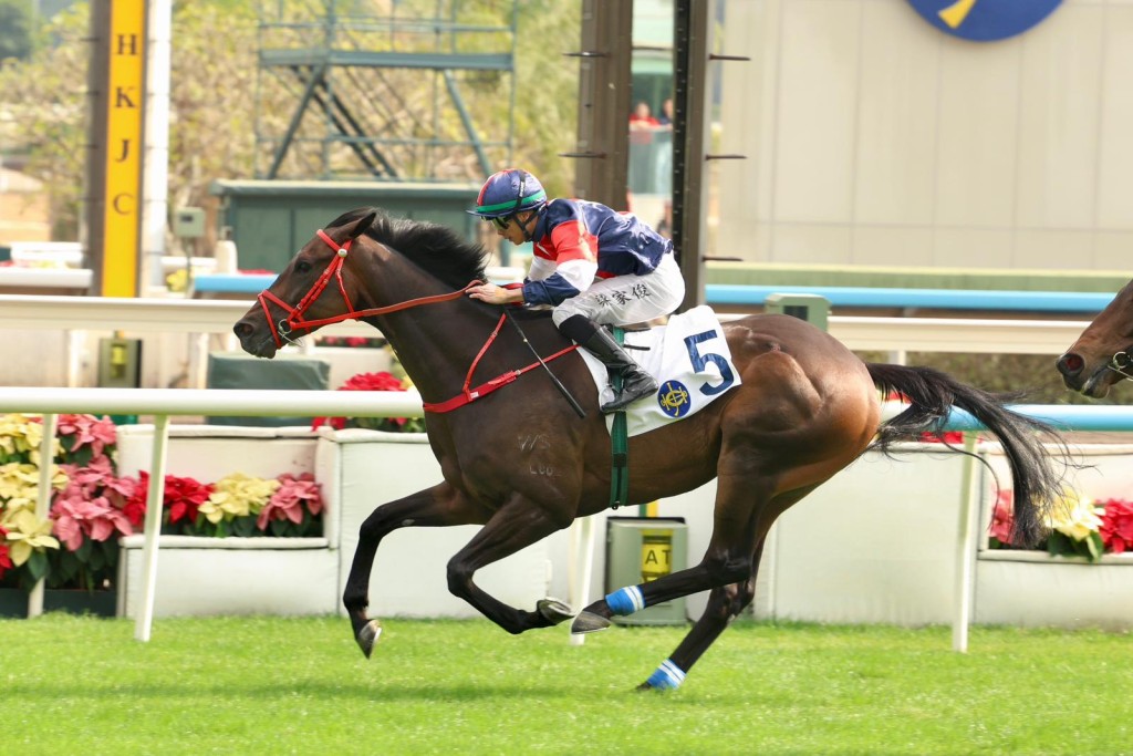 Numbers strides away to an impressive win over the Hong Kong Derby distance of 2,000m. Singtao