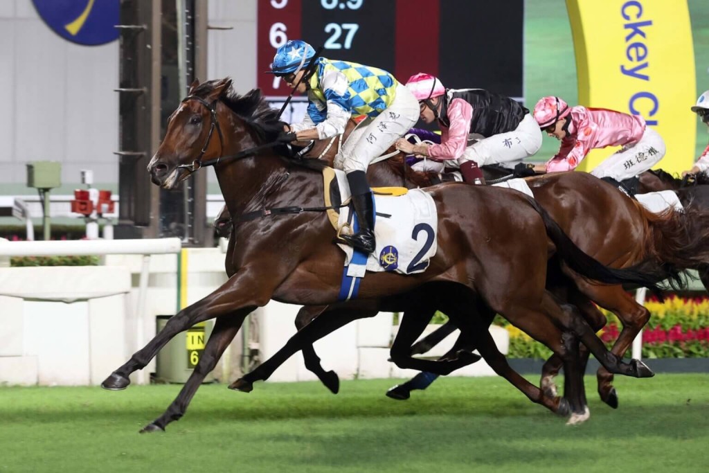 GALAXY PATCH, VINCENT HO / G3 Premier Plate // Sha Tin /// 2024 //// Photo by HKJC GALAXY PATCH, VINCENT HO / G3 Premier Plate // Sha Tin /// 2024 //// Photo by HKJC