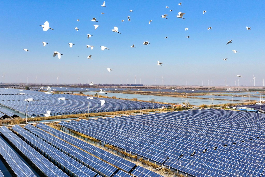 Egrets fly over solar panels at a "fishing and light complementary solar photovoltaic base" in Jinhu County, Huaian municipality, east China's Jiangsu province on December 16, 2024. Beijing said on December 17 that plans by the United States to hike tariffs on more Chinese imports "pile errors onto errors", after Washington homed in on products including crucial solar panel components. (Photo by AFP)
