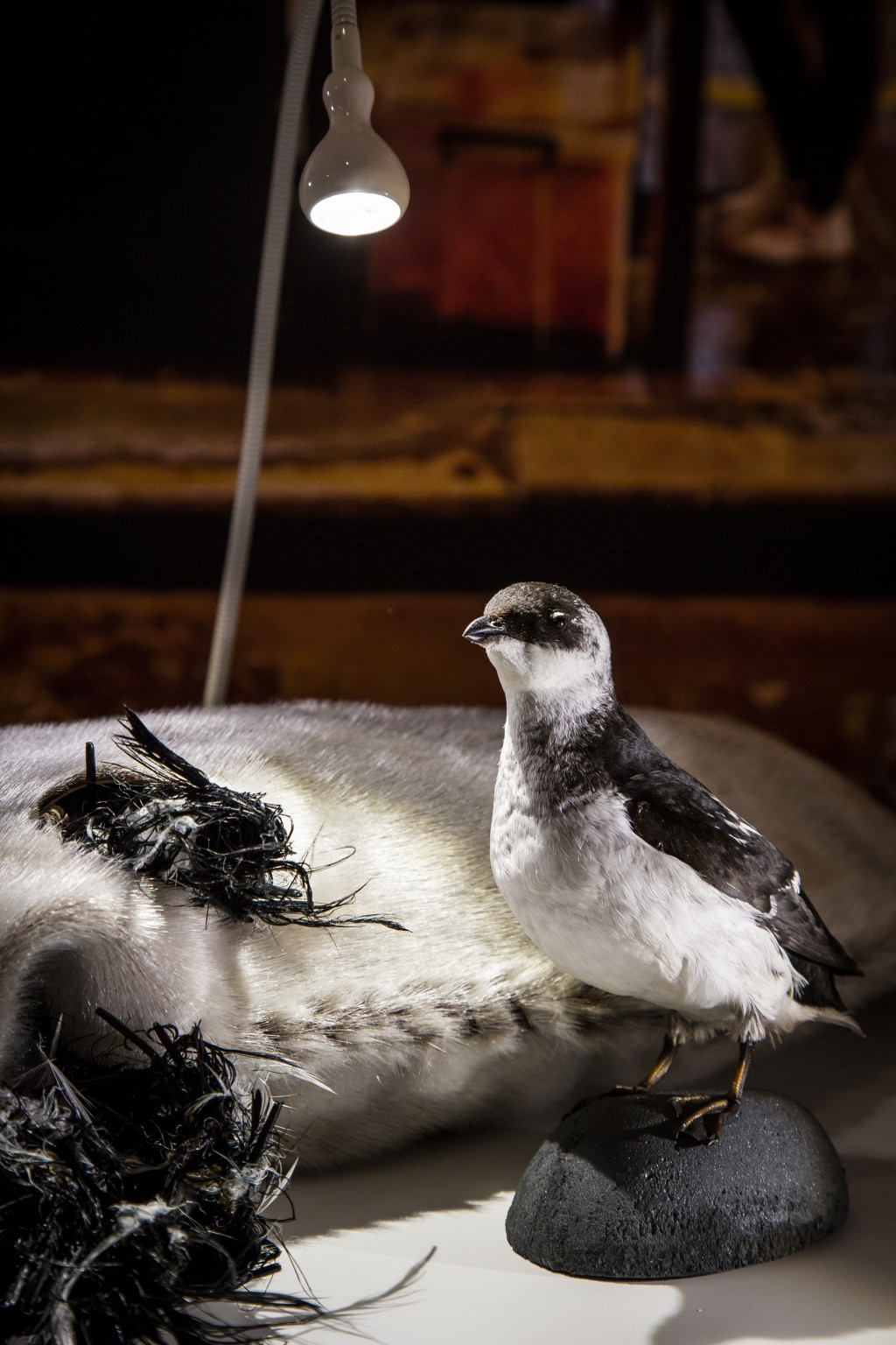 Greenland Kiviak - Hundreds of seabirds stuffed into a seal skin, sewn tight, and buried in frozen earth to ferment for months, offering an extreme, primal flavor that tests the mental fortitude of any diner.