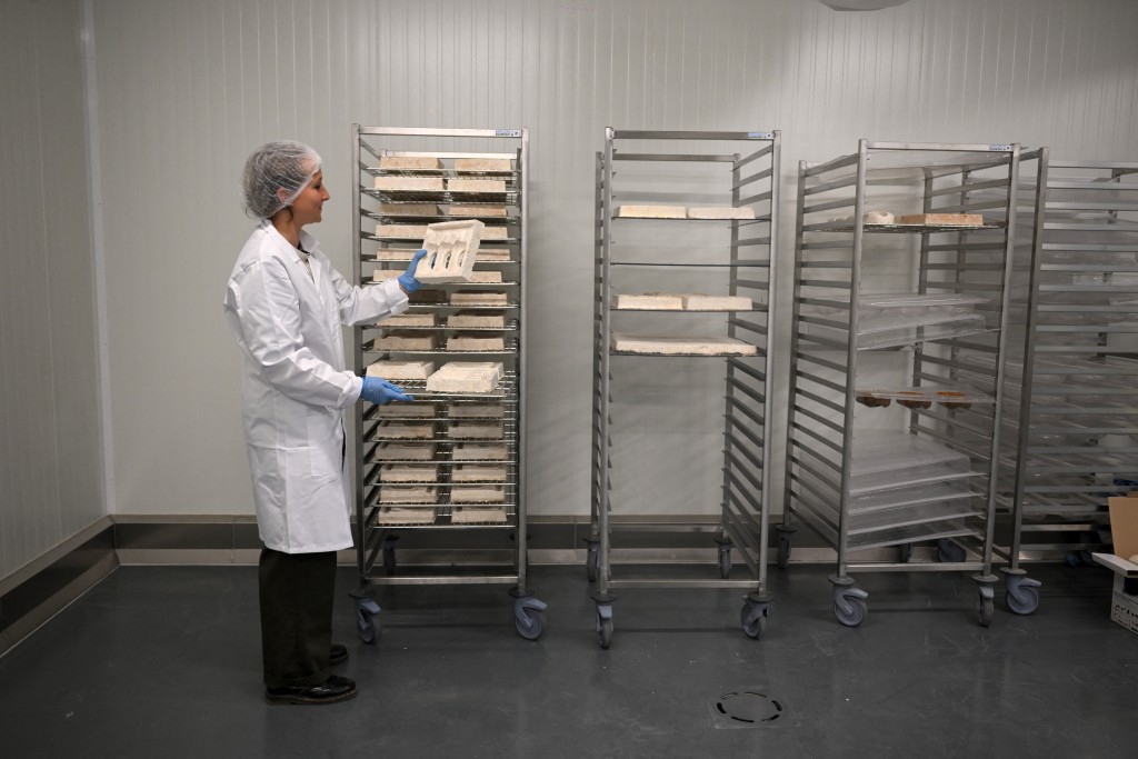 Photo by NICOLAS TUCAT / AFP  An employee holds a soap bottle packaging made from dried mycelium and sawdust at the Permafungi production line in Brussels on November 12, 2025.
