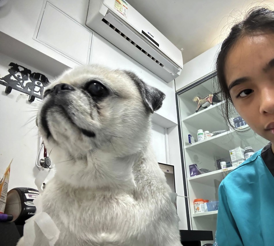 A veterinary clinic in Sai Kung. A veterinary clinic in Sai Kung.