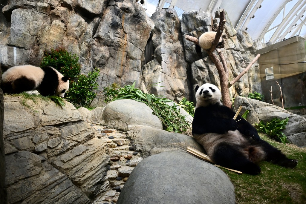 (File Photo)