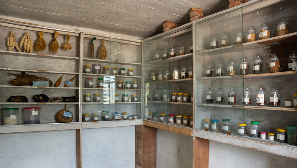 Community Seed Bank at Jaiwik Bibidhata Cooperative.