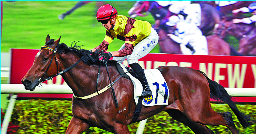 New Future Folks' second win in three starts leaves trainer Michael Chang, second left, beaming. SING TAO New Future Folks' second win in three starts leaves trainer Michael Chang, second left, beaming. SING TAO