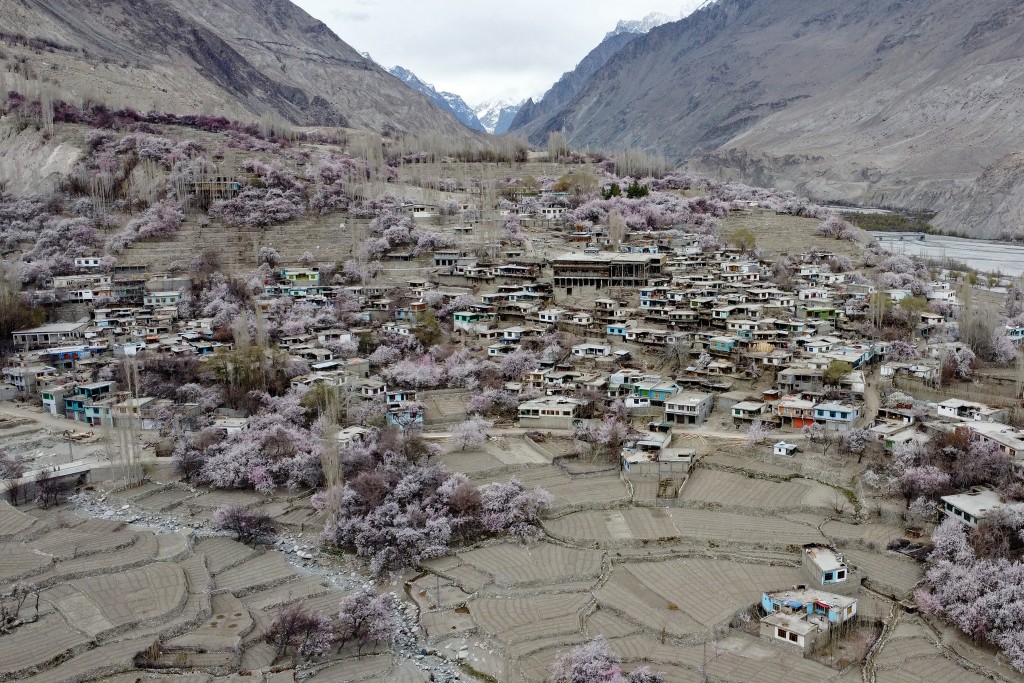 Apricot blossom trees bloom near residential buildings, against the backdrop of snow-capped mountains at Ghanche district in Gilgit-Baltistan region on March 30, 2026. (Photo by Manzoor BALTI / AFP)