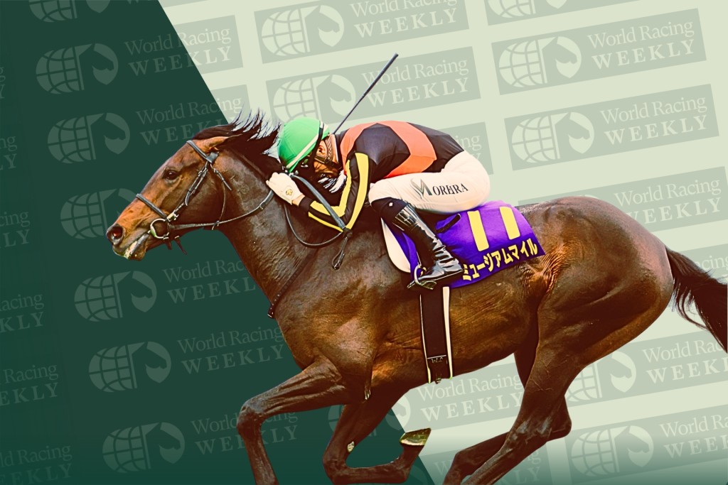 Museum Mile. Idol Horse