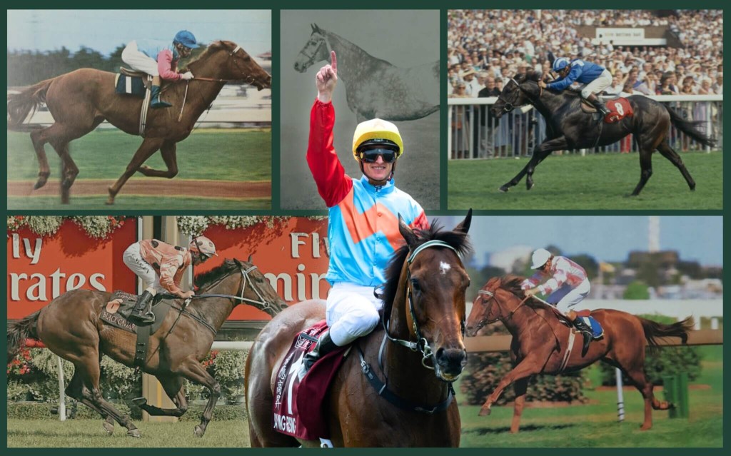 KA YING RISING, (clockwise from bottom left) BLACK CAVIAR, VAIN, ABERNANT, DAYJUR, MANIKATO / Illustration by Idol Horse