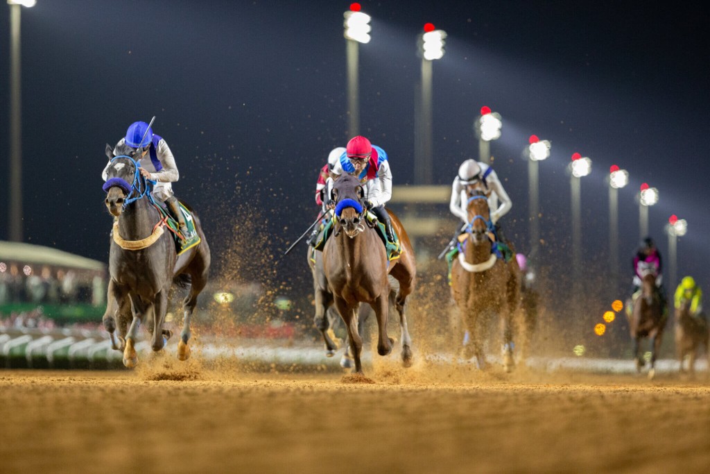 Emblem Road rumbles to a famous win in Riyadh (NEVILLE HOPWOOD) 