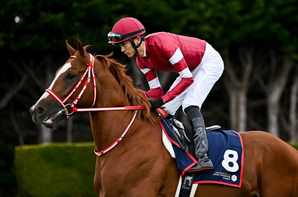 Shin Emperor returns for a shot at the G1 Irish Champion Stakes after finishing third last year (Idol Horse) 
