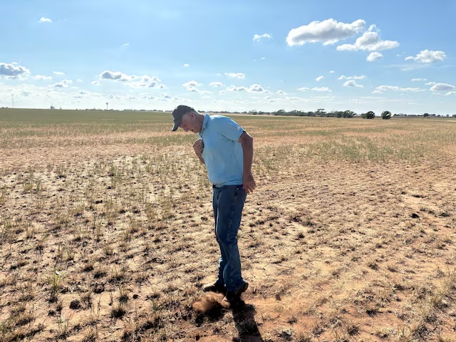 A farmer inspects a field as drought delays crop plantings and affects wheat yields in the U.S. Plains, in Olton, Texas,U.S., April 20, 2026. REUTERS/Tom Polansek