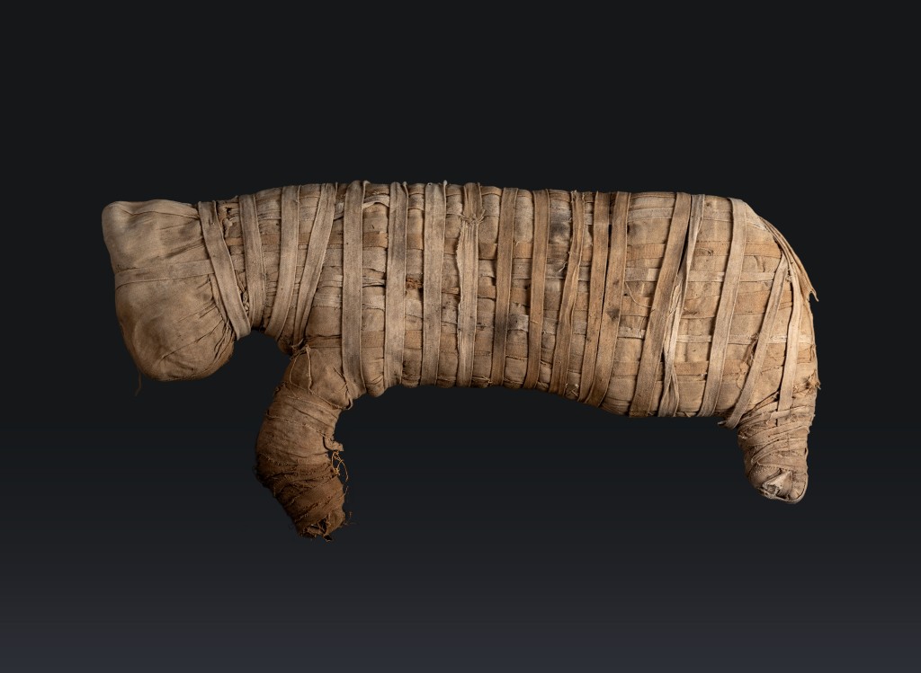 Courtesy: The Supreme Council of Antiquities of the Arab Republic of Egypt